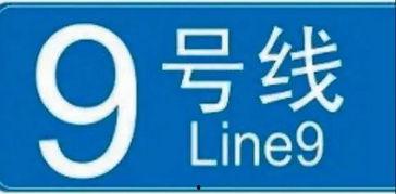 九号新款最新爆料图片